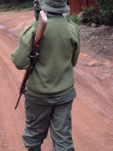 An armed park guide is required for protection i Arusha National Park.