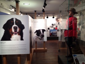 Dog Heros Exhibition at Pet Place in Harbourfront--something everyone can agree on!