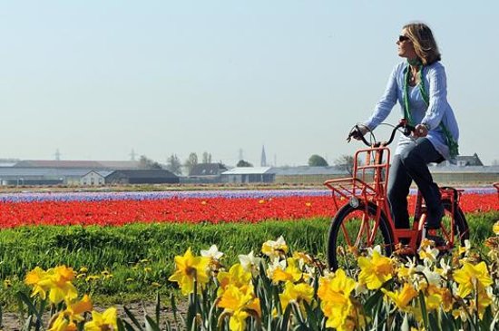 cycling-in-holland-a